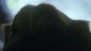 Backdrop to the movie "Good Boy" #517222