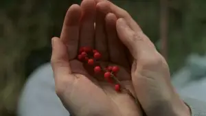 Backdrop to the movie "The Village" #728851