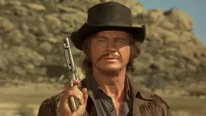 Backdrop to the movie "Red Sun" #351776