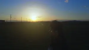 Backdrop to the movie "All About Lily Chou-Chou" #788225