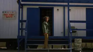 Backdrop to the movie "Inherent Vice" #805790