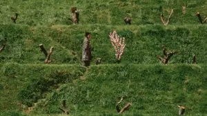 Backdrop to the movie "Dreams" #202554