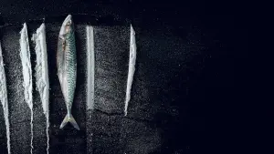 Backdrop to the movie "Turn of the Tide: The Surreal Story of Rabo de Peixe" #693630