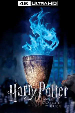 Poster to the movie "Harry Potter and the Goblet of Fire" #556628