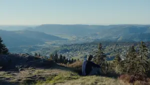 Backdrop to the movie "The Bare Necessity" #705214