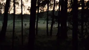 Backdrop to the movie "Mirror" #751477