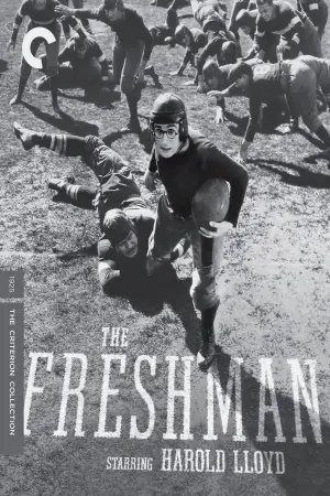 Poster to the movie "The Freshman" #768415