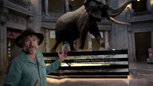Backdrop to the movie "Ghost Elephants" #911001