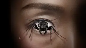 Backdrop to the movie "Control Freak" #657820