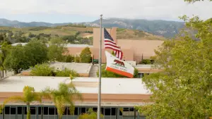 Backdrop to the movie "The Bear Beneath" #539352