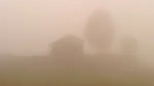 Backdrop to the movie "Dry Leaf" #770897