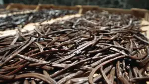 Backdrop to the movie "On va déguster : La vanille, l