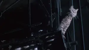 Backdrop to the movie "Angel Heart" #741303