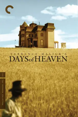 Poster to the movie "Days of Heaven" #716442