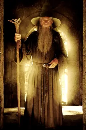 Poster to the movie "The Lord of the Rings: The Fellowship of the Ring" #515940