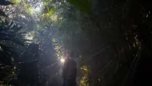 Backdrop to the movie "RUYA" #778565