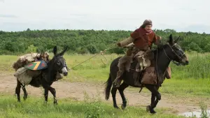Backdrop to the movie "The Visitors: Bastille Day" #364749