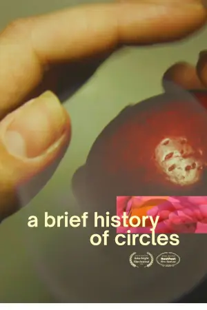 Poster to the movie "A Brief History of Circles" #757163