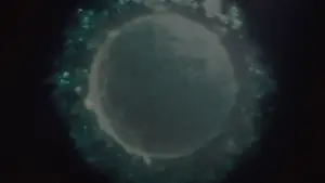 Backdrop to the movie "Marty Supreme" #760736