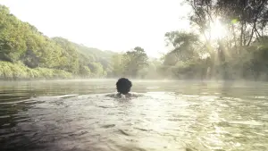 Backdrop to the movie "Rave On For The Avon" #453377