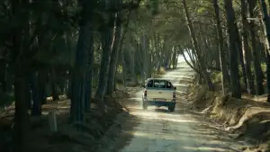 Backdrop to the movie "Secret of the Forest" #798260