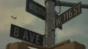 Backdrop to the movie "American Gangster" #627168