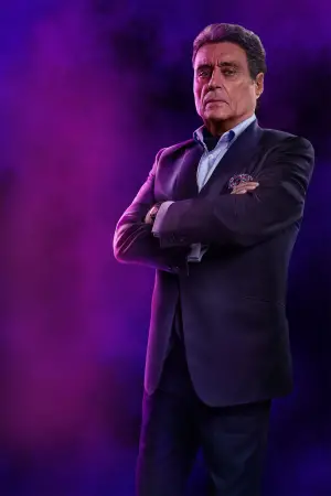 Poster to the movie "Ballerina" #526950