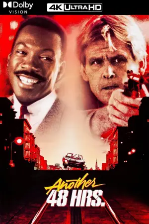 Poster to the movie "Another 48 Hrs." #309934
