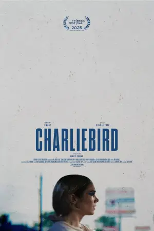 Poster to the movie "Charliebird" #773424