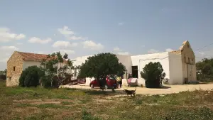 Backdrop to the movie "Manca Moro" #801316