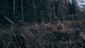 Backdrop to the movie "Izvod: Witch