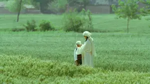 Backdrop to the movie "Living the Land" #538865