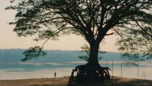 Backdrop to the movie "A Useful Ghost" #537091