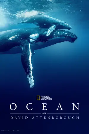Poster to the movie "Ocean with David Attenborough" #617839