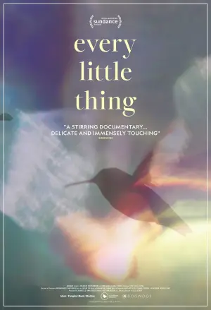 Poster to the movie "Every Little Thing" #791361