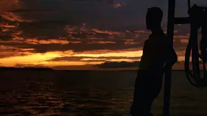 Backdrop to the movie "Forrest Gump" #528559