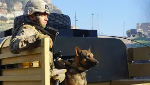 Backdrop to the movie "Megan Leavey" #227984