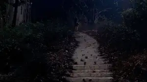 Backdrop to the movie "Wishing Stairs" #746612