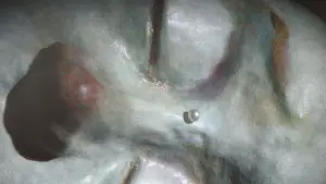 Backdrop to the movie "The Girl Who Cried Pearls" #780983