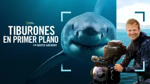 Backdrop to the movie "Sharks Up Close with Bertie Gregory" #793006