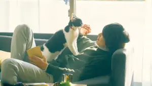 Backdrop to the movie "The Travelling Cat Chronicles" #424872