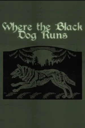 Poster to the movie "Where the Black Dog Runs" #821444