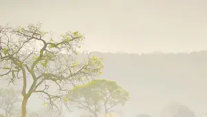 Backdrop to the movie "Same Old West" #657707