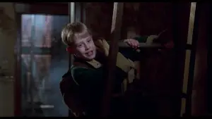 Backdrop to the movie "Home Alone 2: Lost in New York" #567125