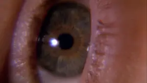 Backdrop to the movie "Vanilla Sky" #652855