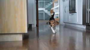 Backdrop to the movie "John Wick" #525981