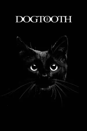 Poster to the movie "Dogtooth" #738694