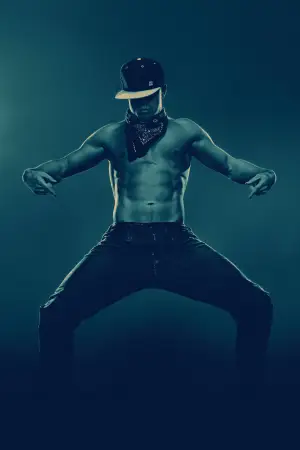 Poster to the movie "Magic Mike XXL" #790993