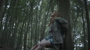 Backdrop to the movie "The Strangers: Chapter 2" #545451