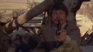 Backdrop to the movie "The Stone Killer" #456015